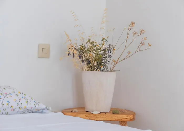 Apartman Vostanka